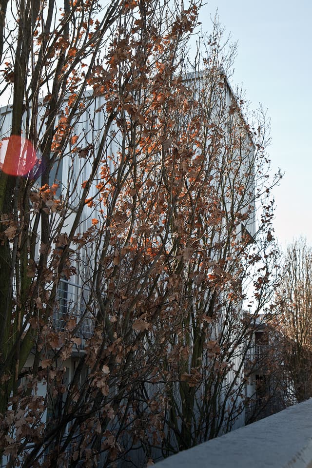 Bismarckstraße | Ottenser Hauptstraße